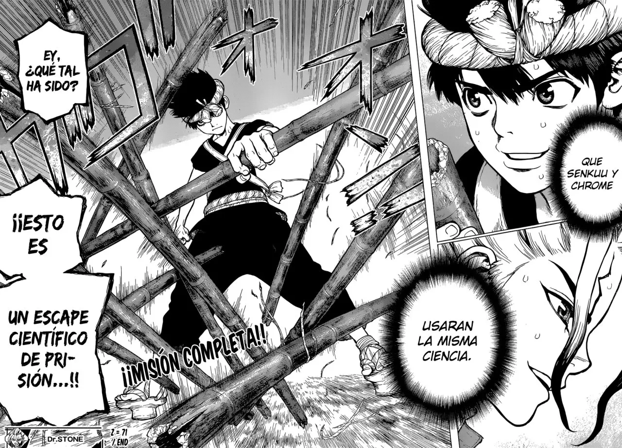 Dr. Stone capítulo 71, página 19