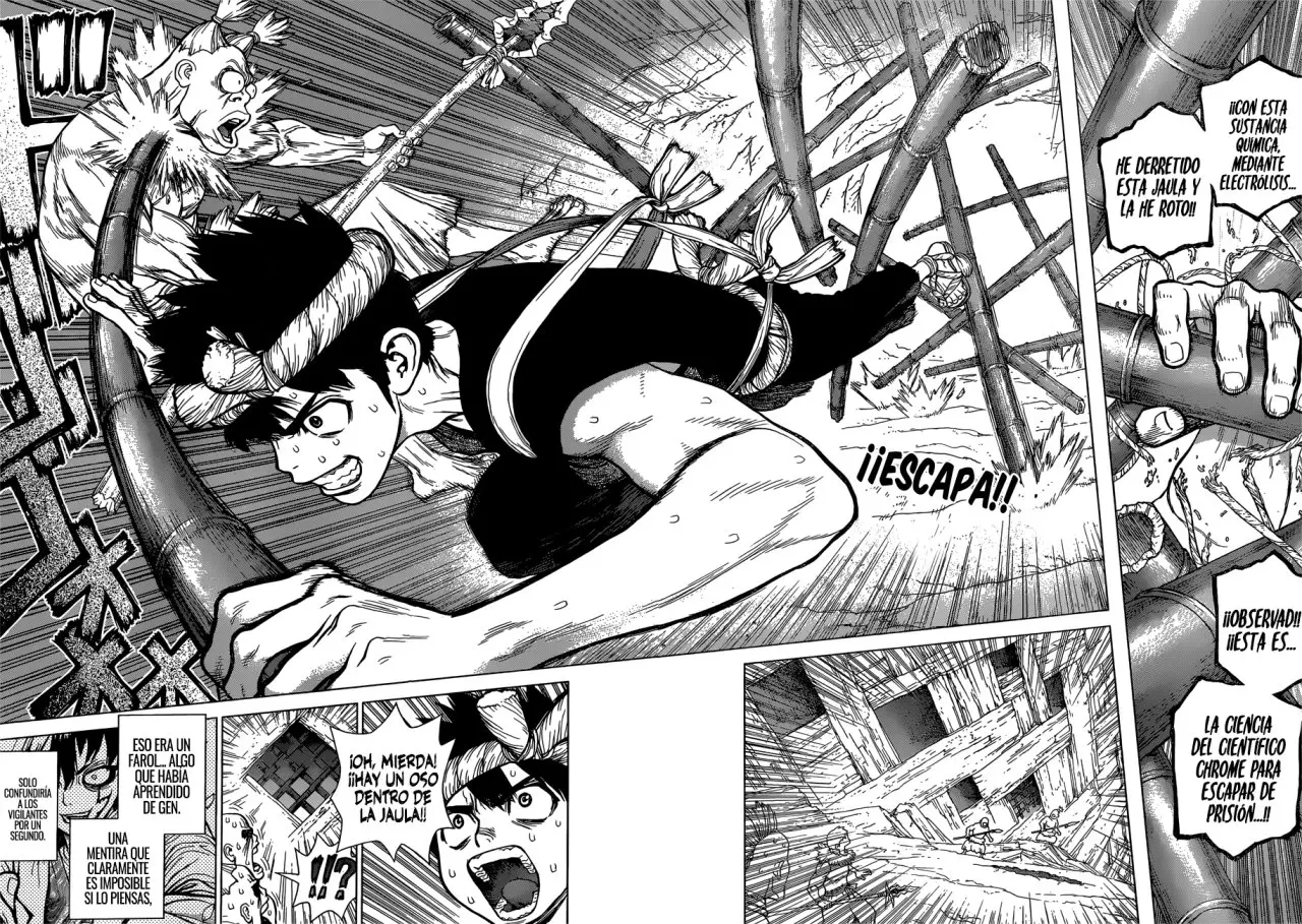 Dr. Stone capítulo 72, página 2