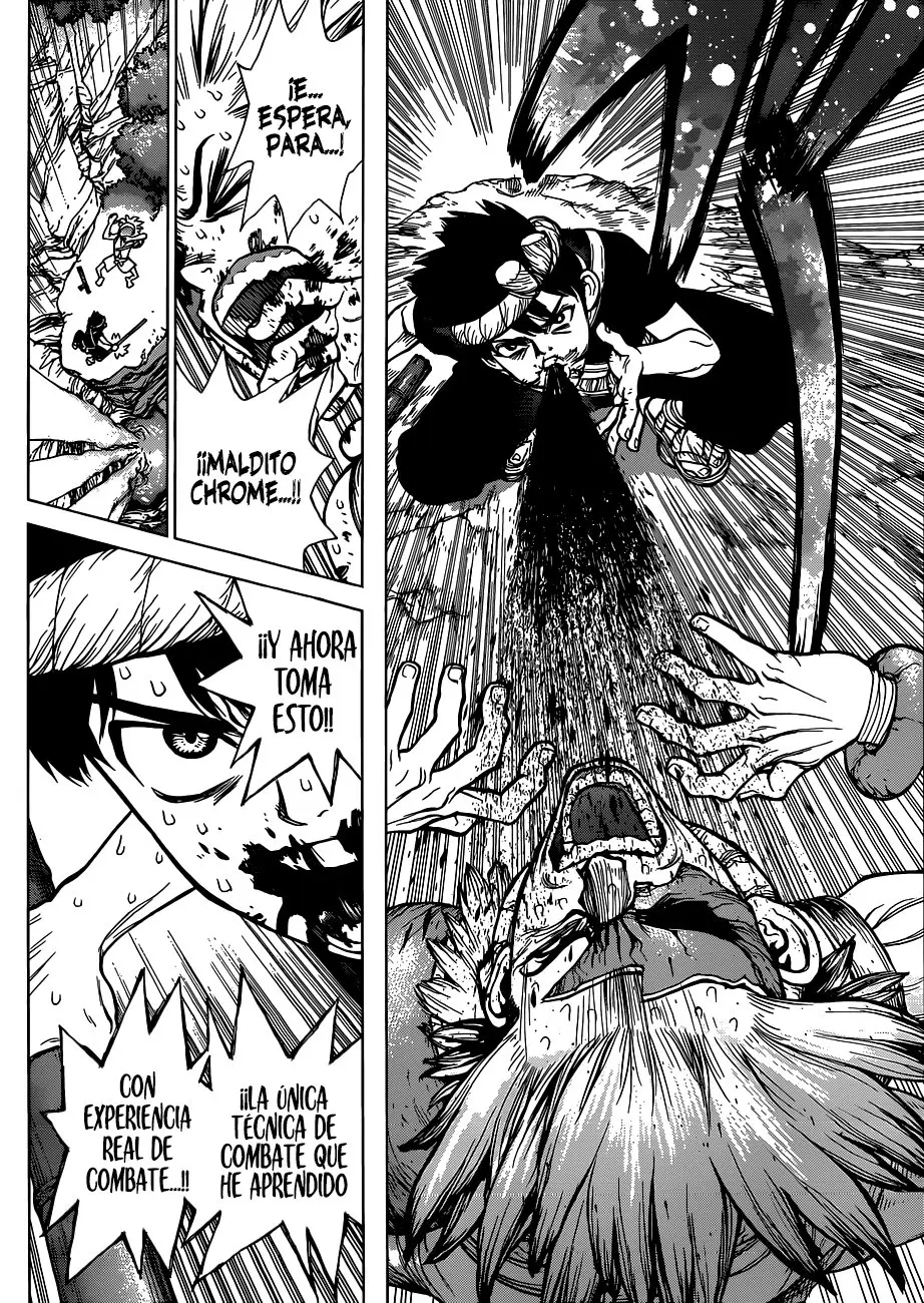 Dr. Stone capítulo 72, página 12
