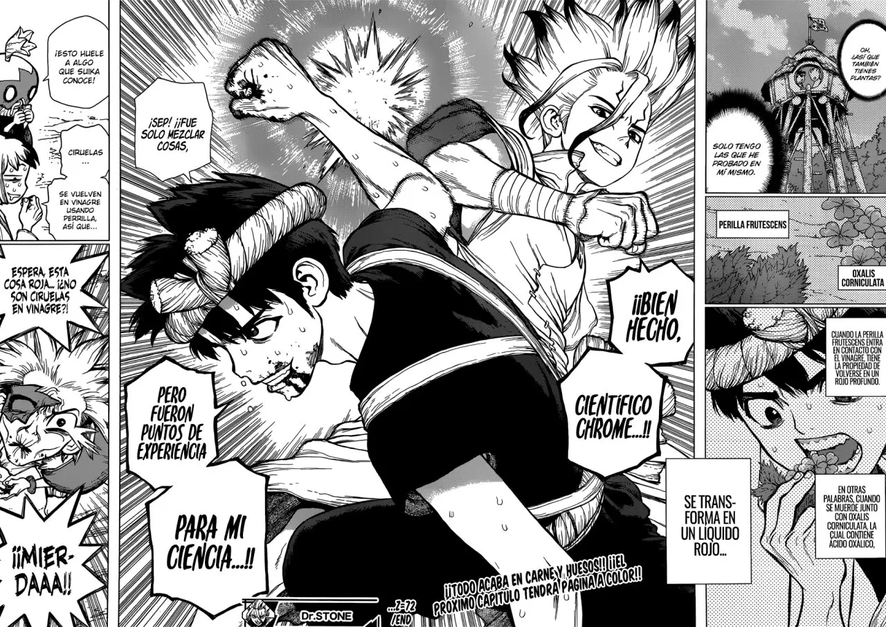 Dr. Stone capítulo 72, página 16