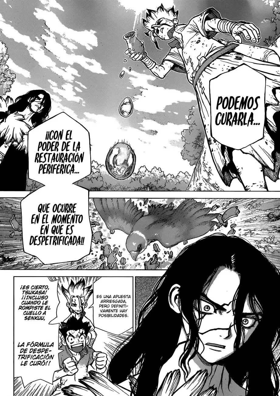Dr. Stone capítulo 78, página 11
