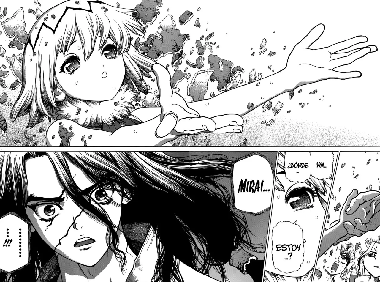 Dr. Stone capítulo 79, página 4