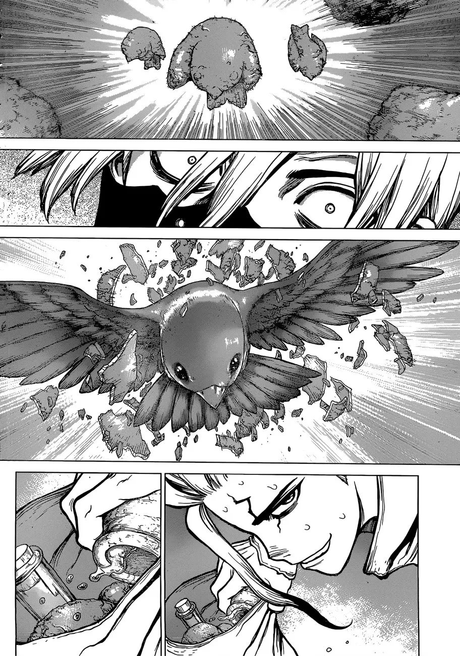 Dr. Stone capítulo 80, página 14