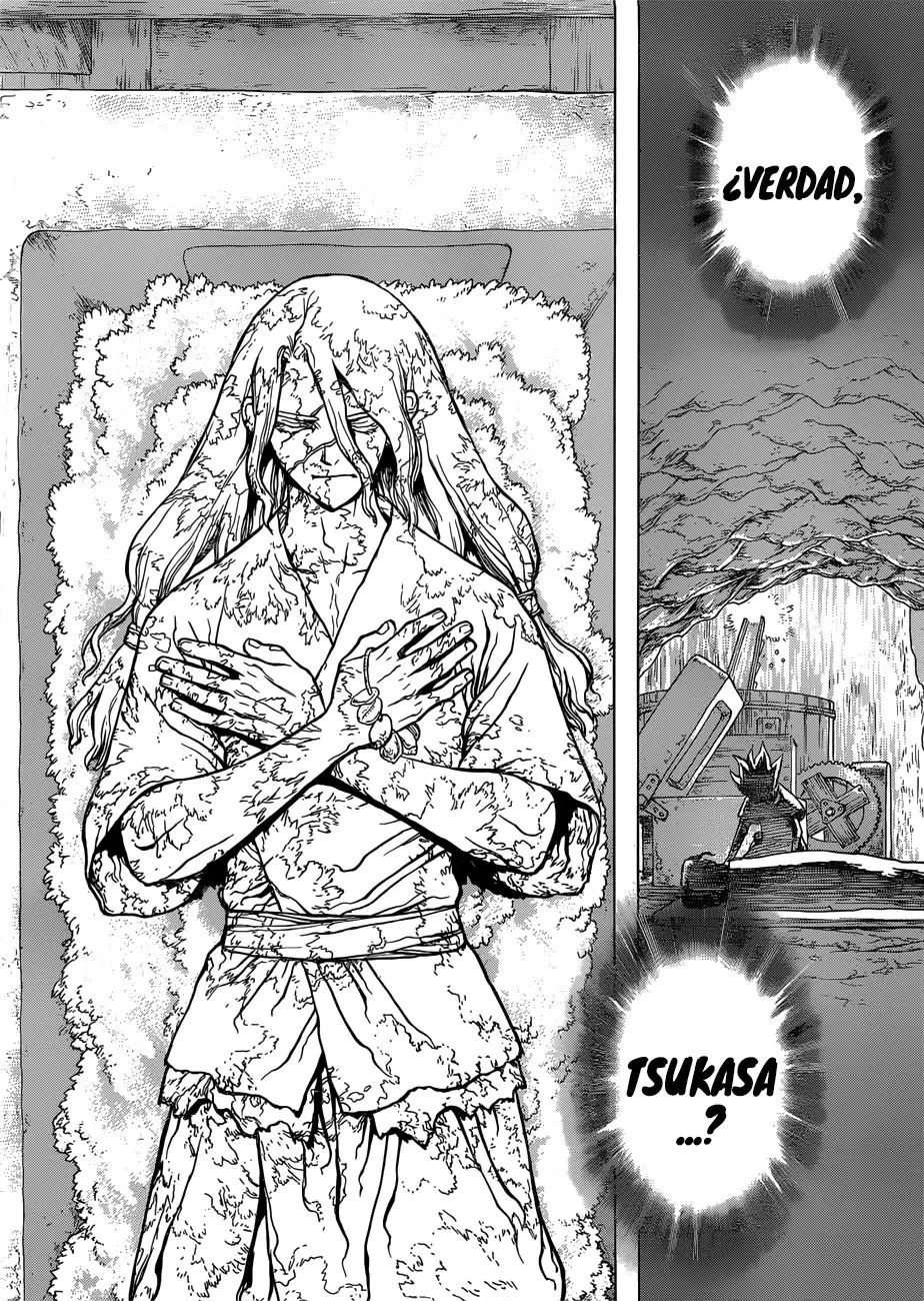 Dr. Stone capítulo 83, página 19