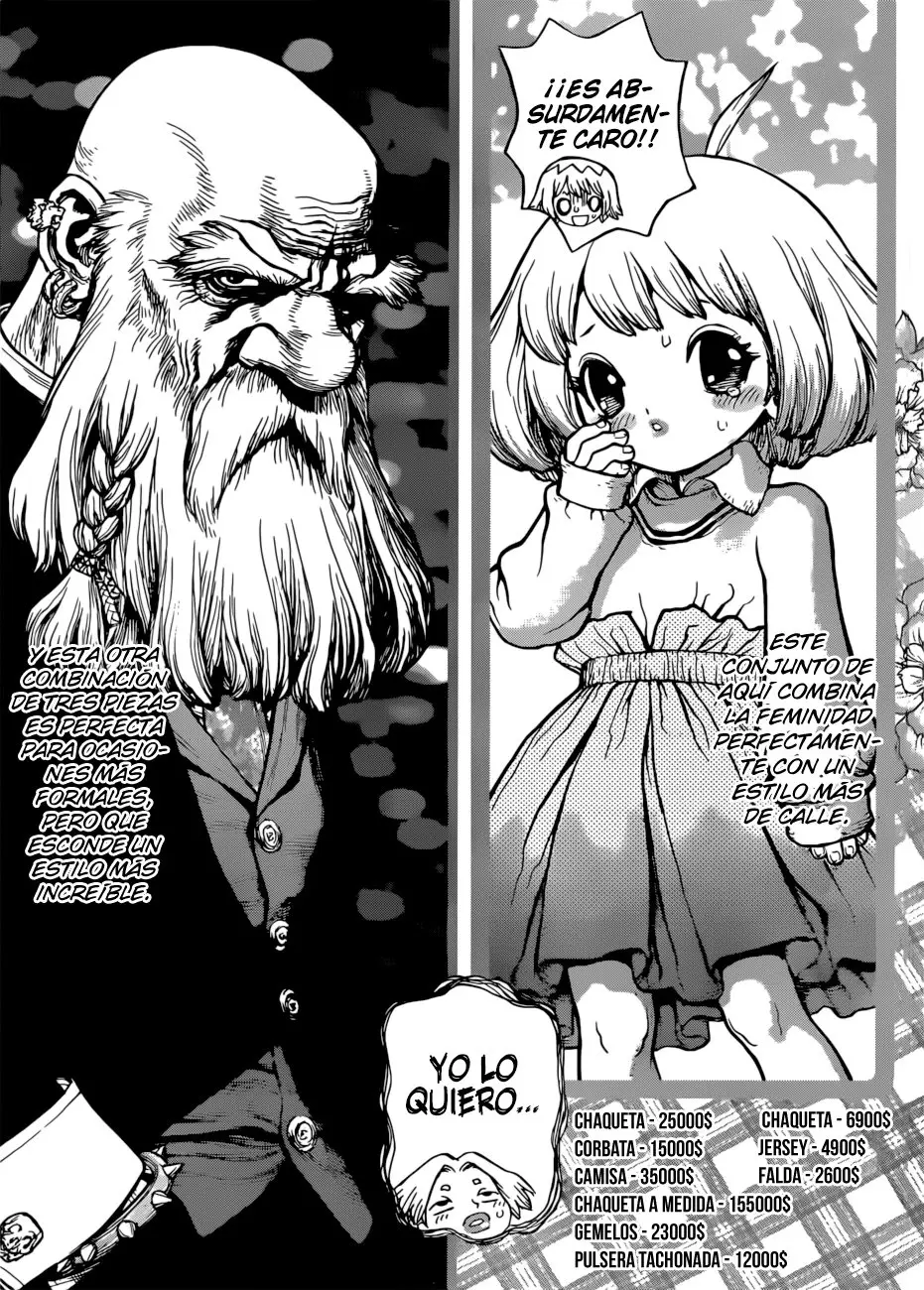 Dr. Stone capítulo 87, página 17