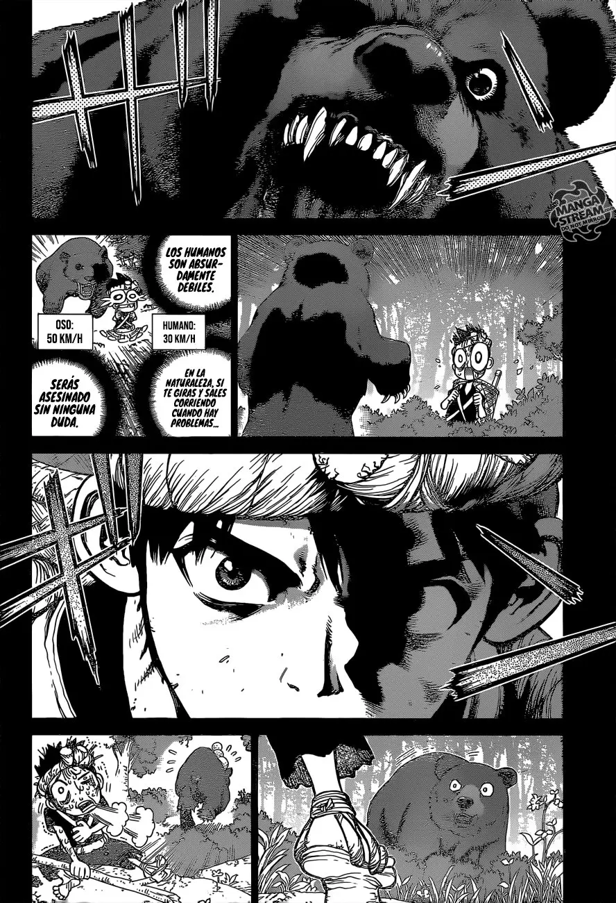Dr. Stone capítulo 89, página 12