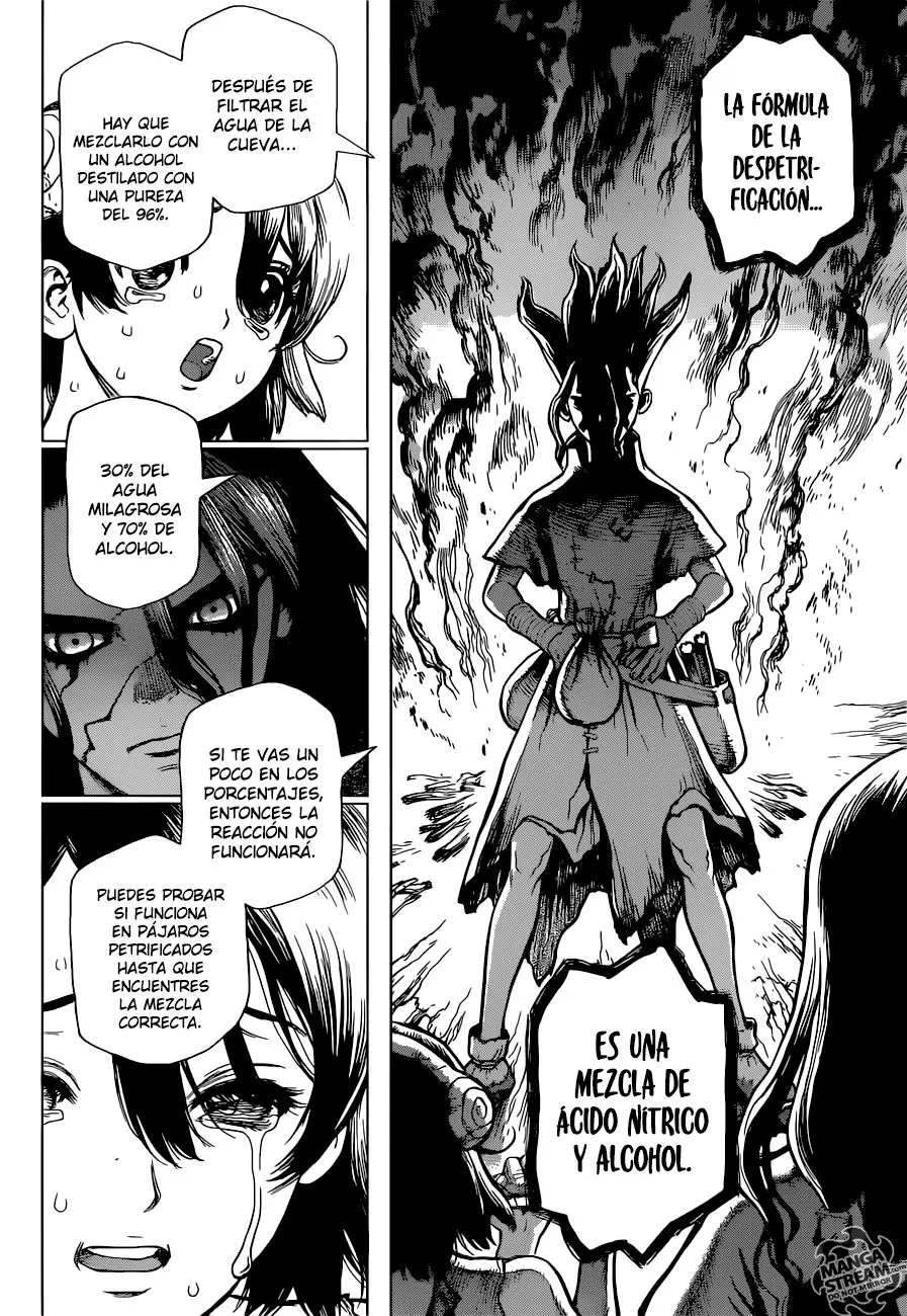 Dr. Stone capítulo 9, página 13