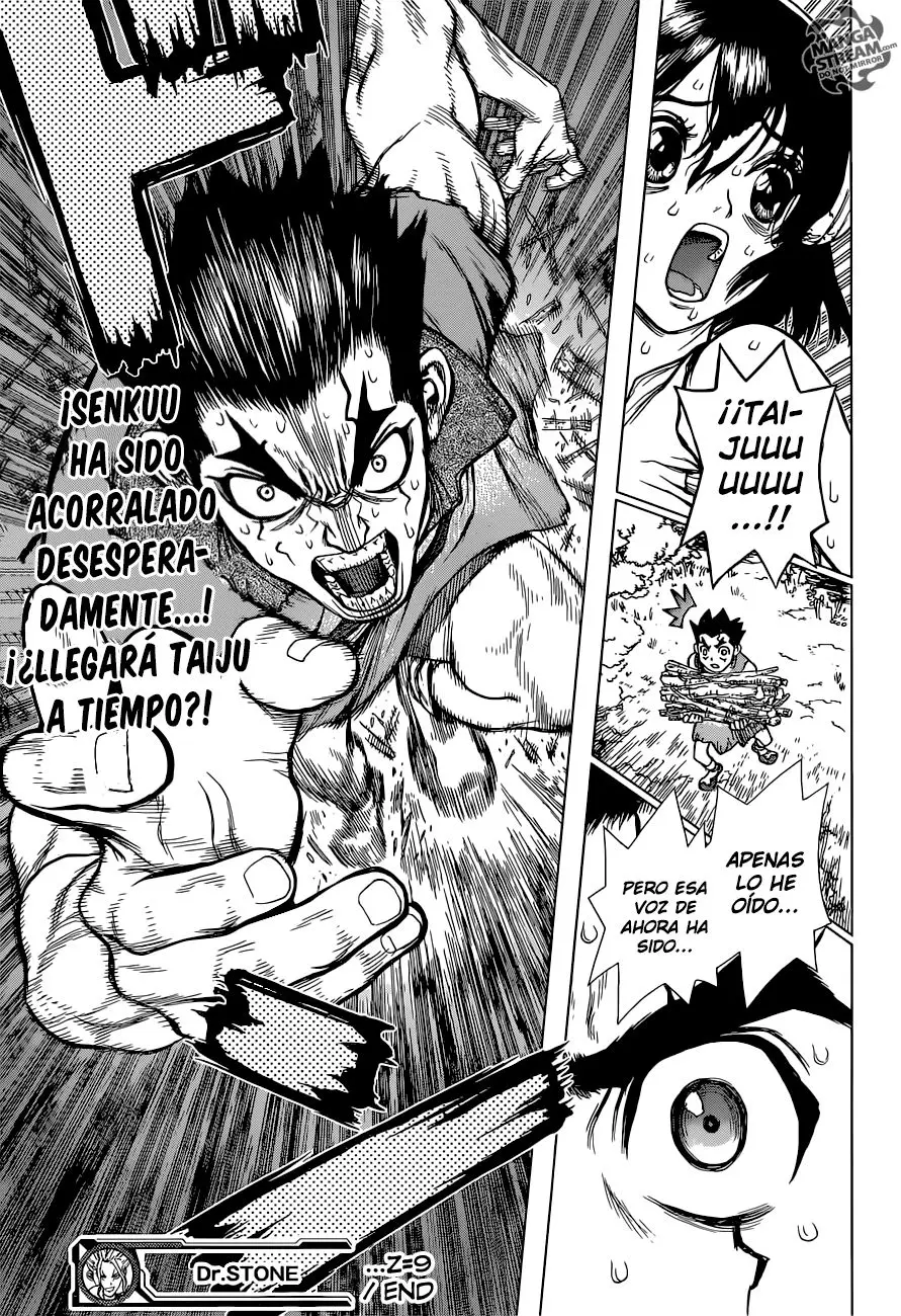 Dr. Stone capítulo 9, página 19
