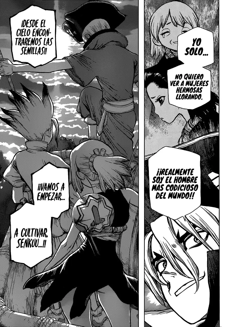 Dr. Stone capítulo 90, página 14
