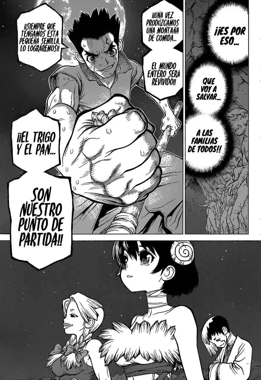 Dr. Stone capítulo 91, página 10