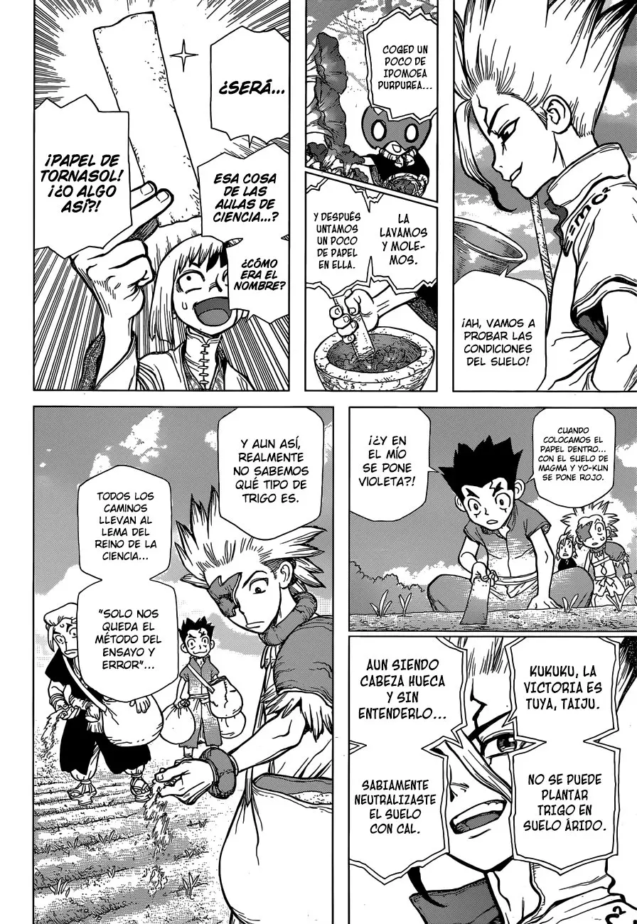 Dr. Stone capítulo 91, página 13
