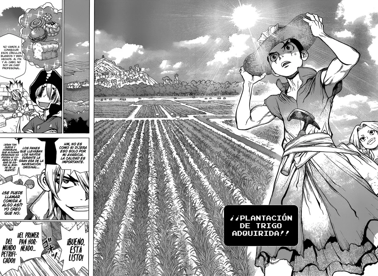 Dr. Stone capítulo 91, página 15