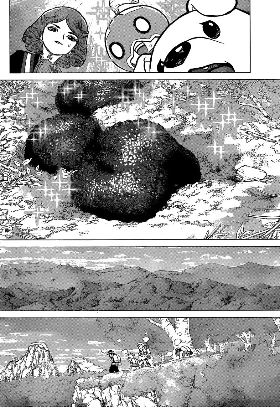 Dr. Stone capítulo 94, página 14