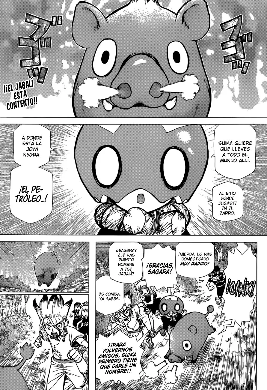 Dr. Stone capítulo 95, página 4