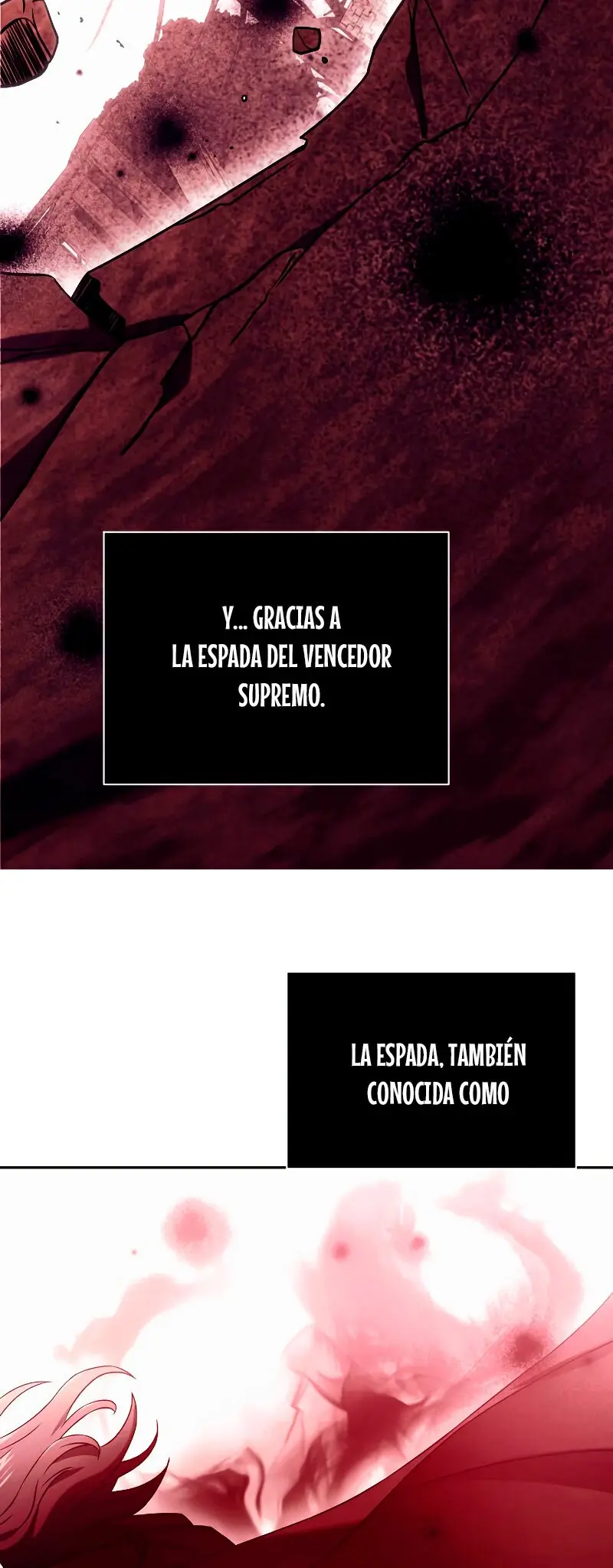 El prodigioso caballero oscuro con tiempo limitado capítulo 3, página 13