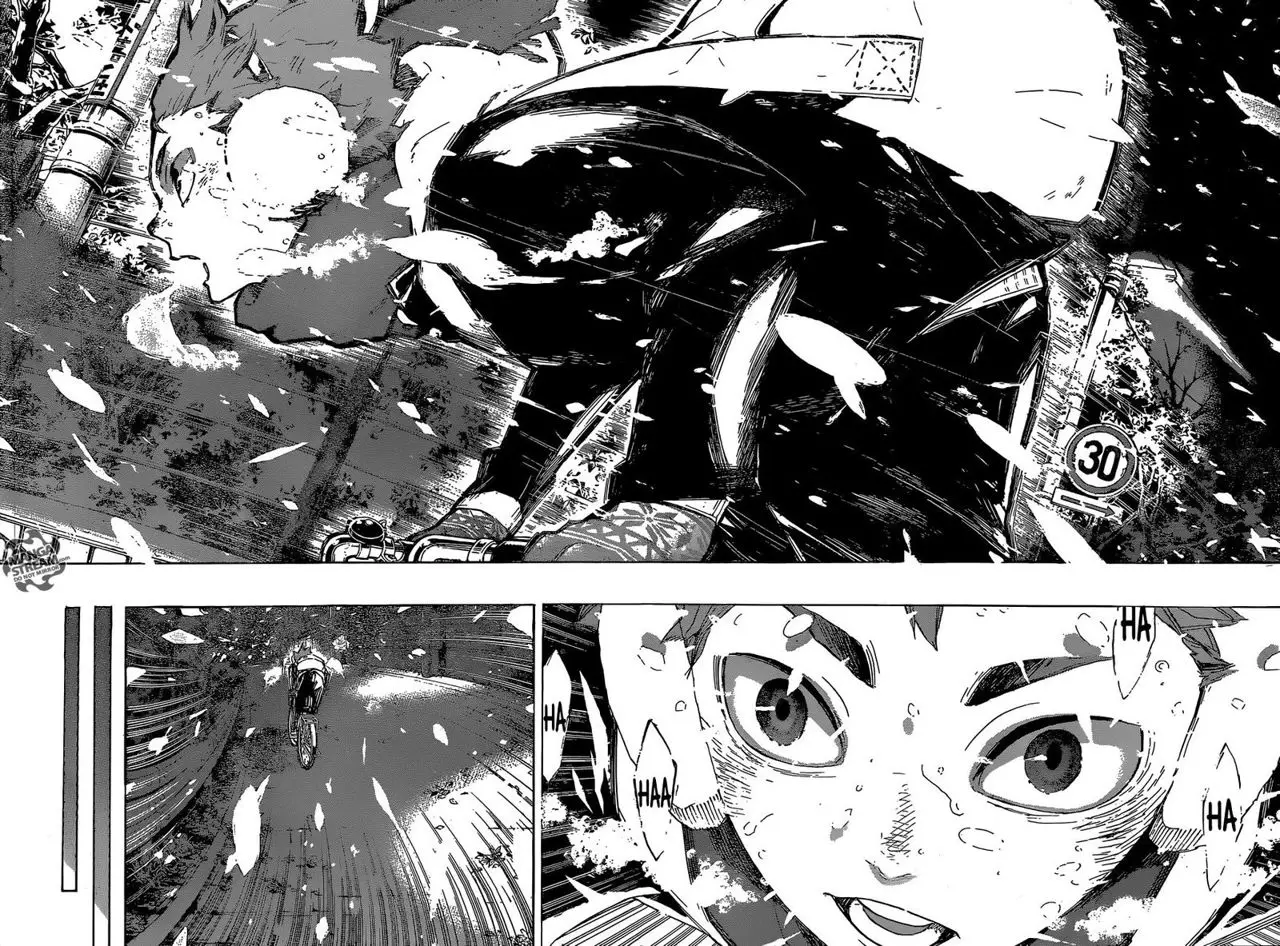 Haikyu!! capítulo 208, página 15