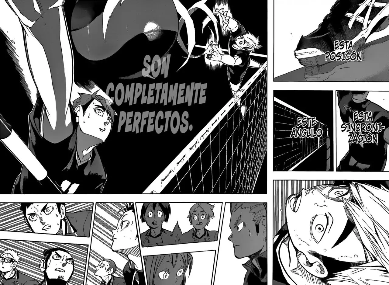 Haikyu!! capítulo 253, página 17