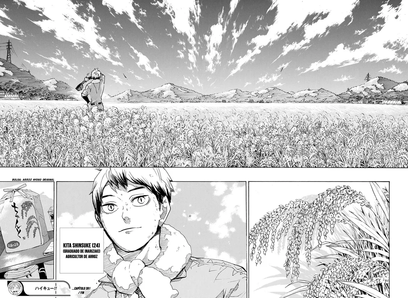 Haikyu!! capítulo 391, página 17