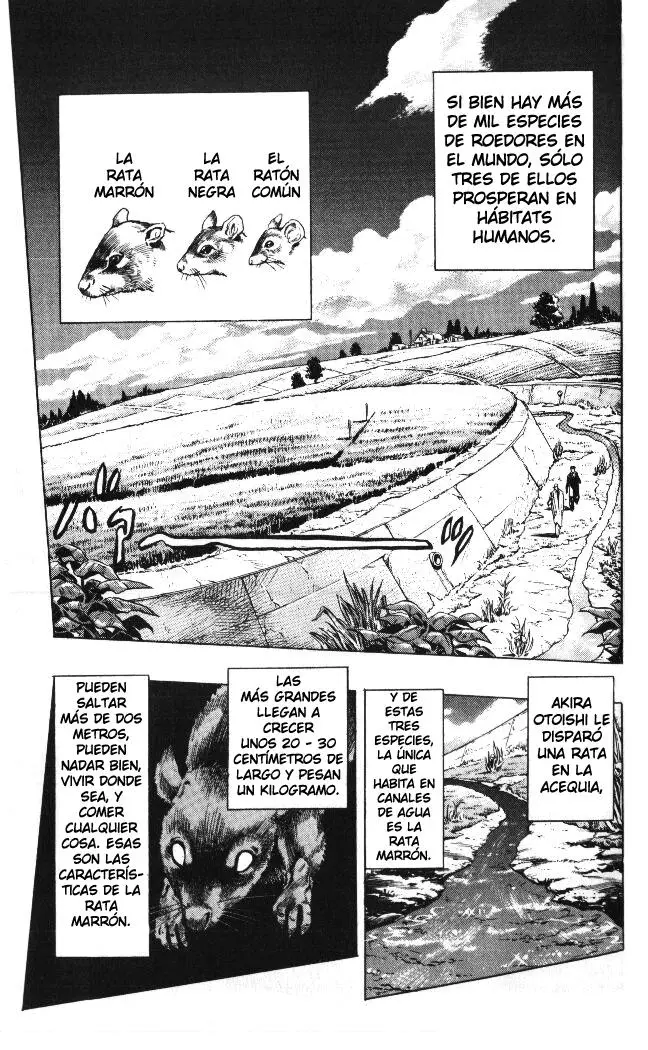 JoJo's Bizarre Adventure - Parte 4: Diamond Is Unbreakable capítulo 60, página 12
