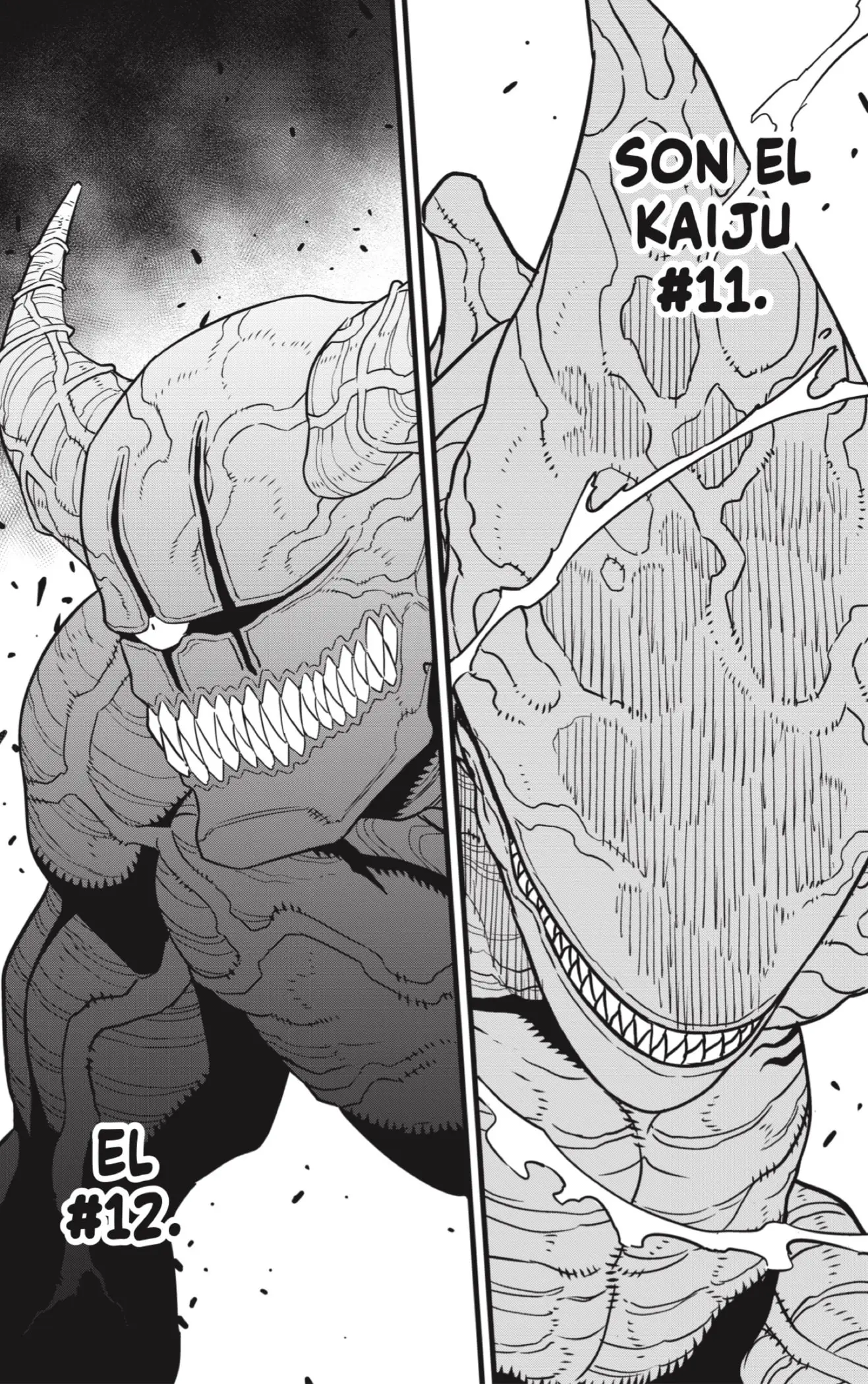Kaiju No. 8 capítulo 76, página 26