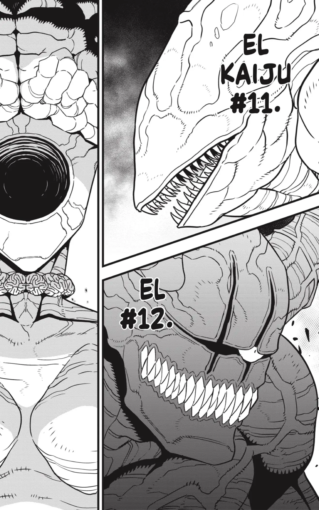 Kaiju No. 8 capítulo 77, página 2