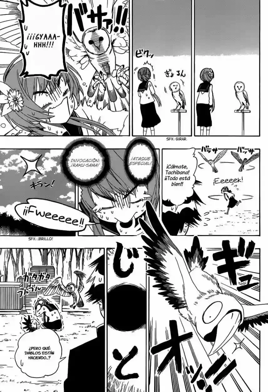 Nisekoi capítulo 142, página 13