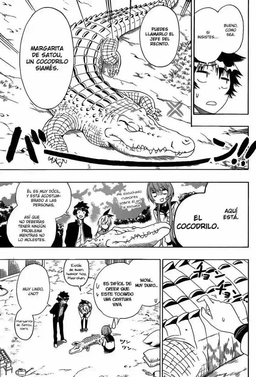 Nisekoi capítulo 142, página 15