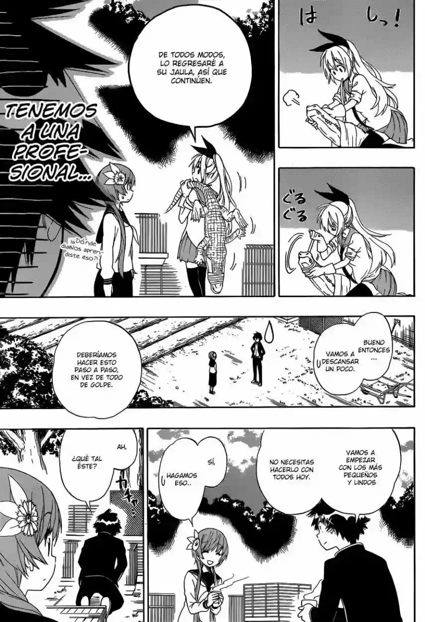 Nisekoi capítulo 142, página 17
