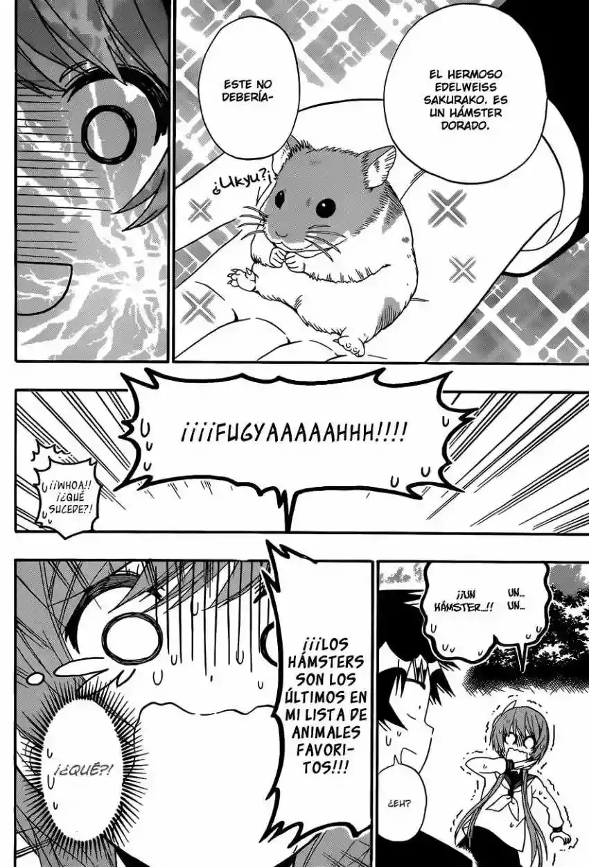 Nisekoi capítulo 142, página 18