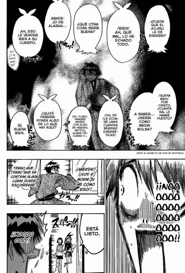 Nisekoi capítulo 19, página 11