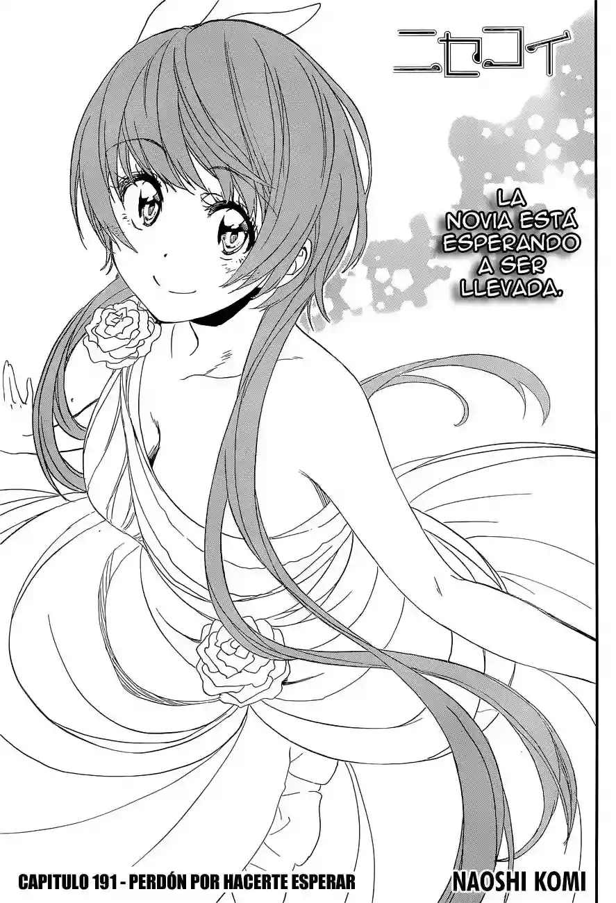 Nisekoi capítulo 191, página 2