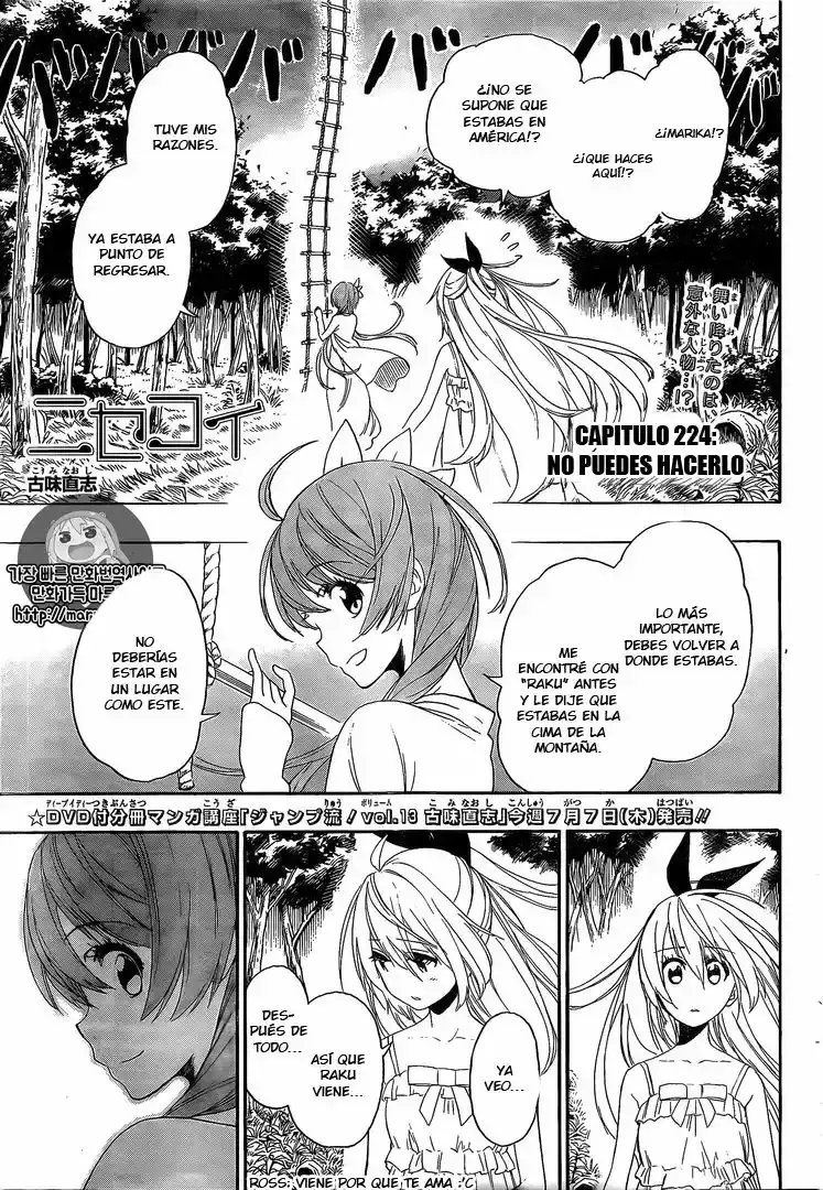 Nisekoi capítulo 224, página 2