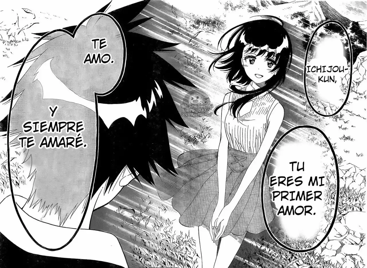Nisekoi capítulo 225, página 11