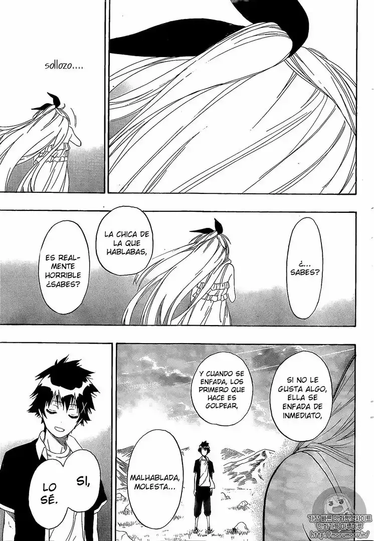 Nisekoi capítulo 227, página 14