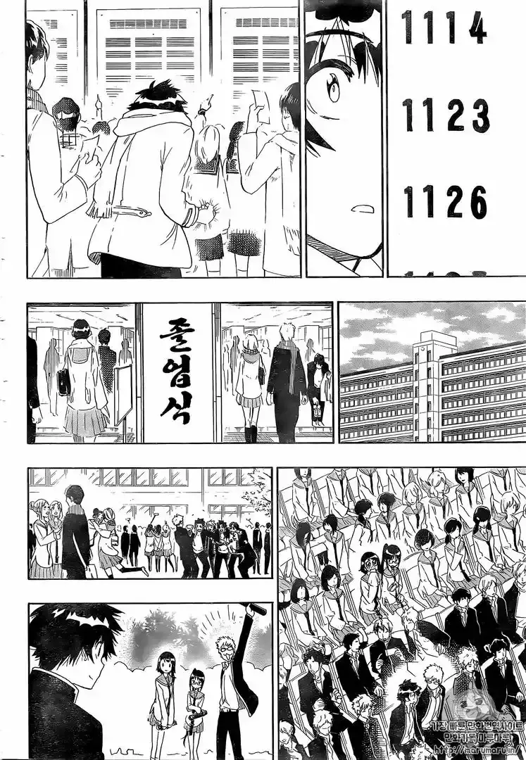 Nisekoi capítulo 228, página 19