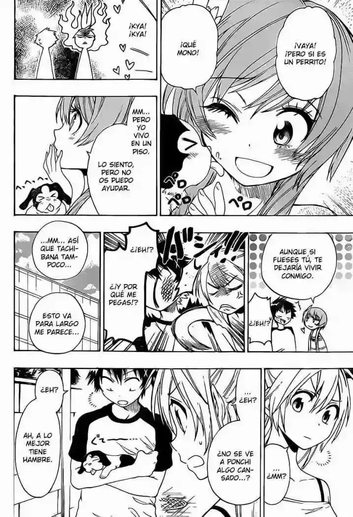 Nisekoi capítulo 41, página 10
