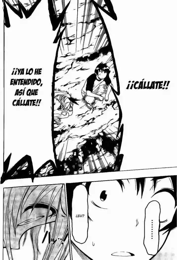 Nisekoi capítulo 45, página 18