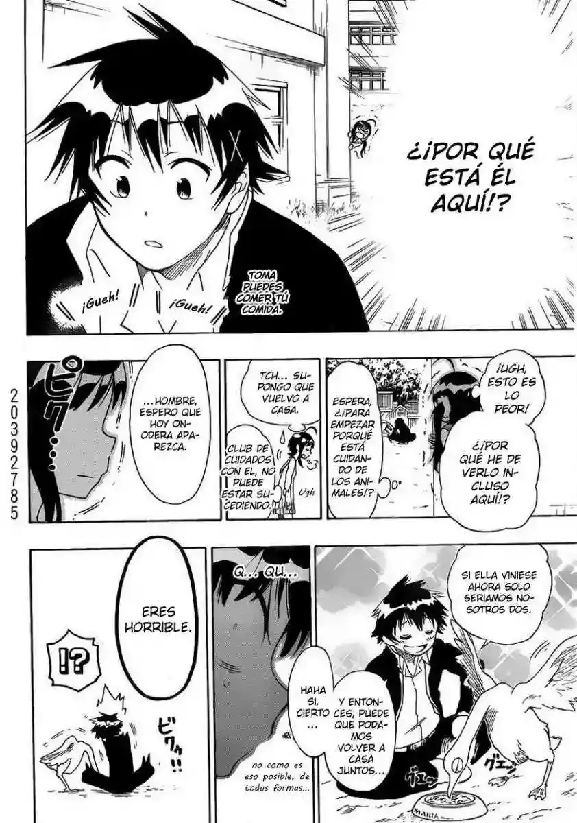 Nisekoi capítulo 76, página 14