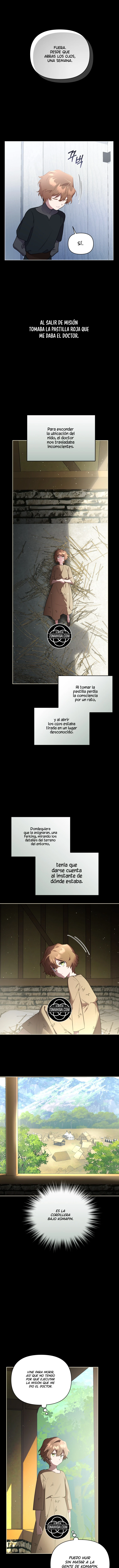 NO TE PREOCUPES, ESTO ES SÓLO UN MATRIMONIO FRAUDULENTO Y CONSENSUADO capítulo 73, página 14