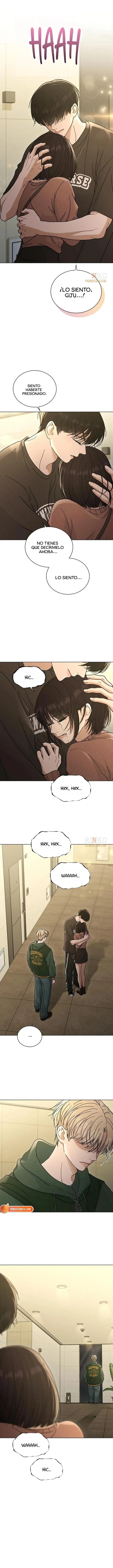 Reseña de amor capítulo 74.5, página 13