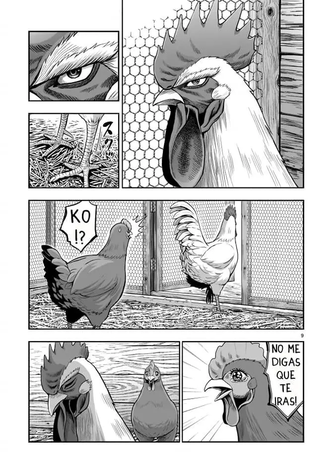 Rooster Fighter capítulo 1, página 9