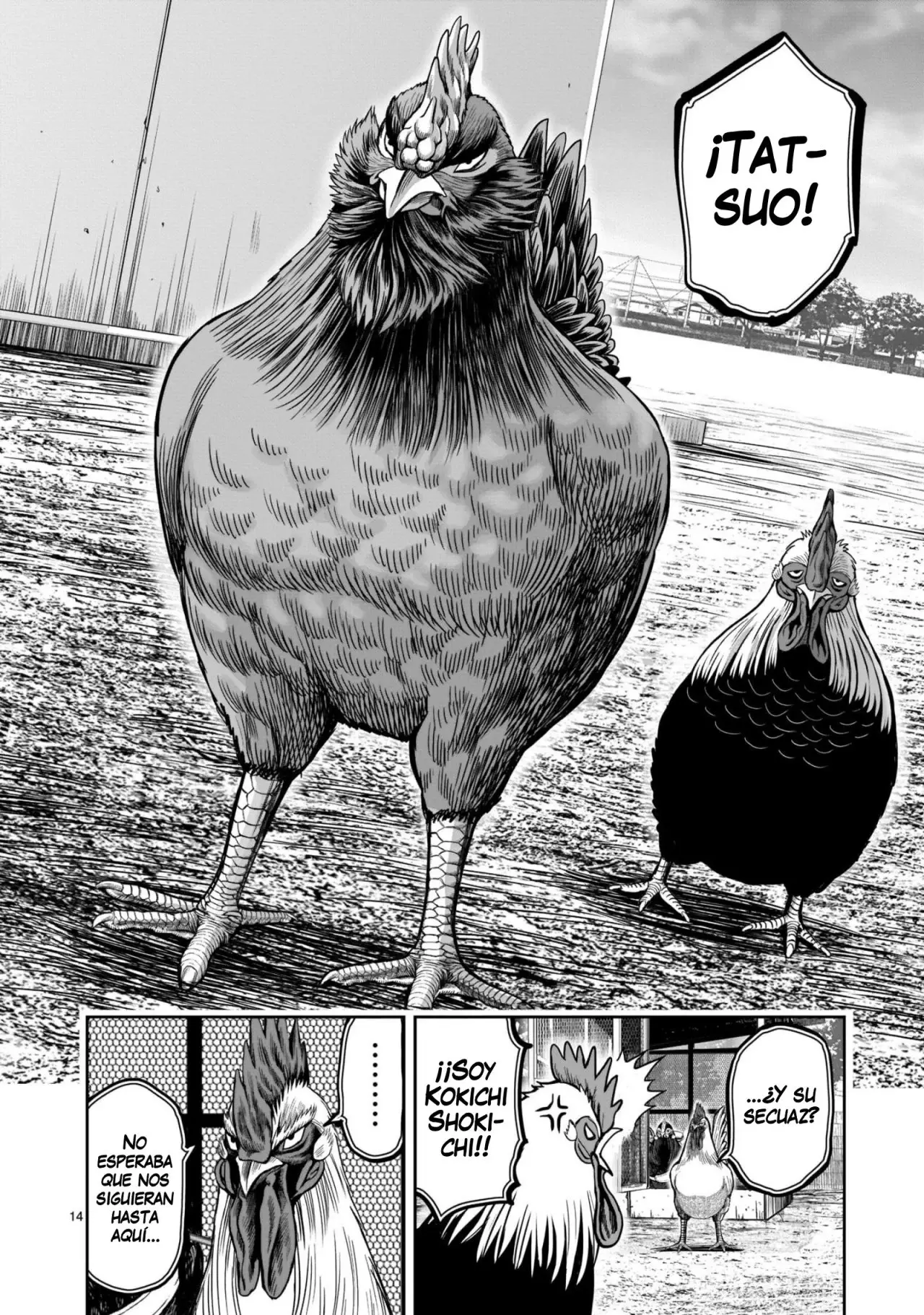 Rooster Fighter capítulo 11, página 15