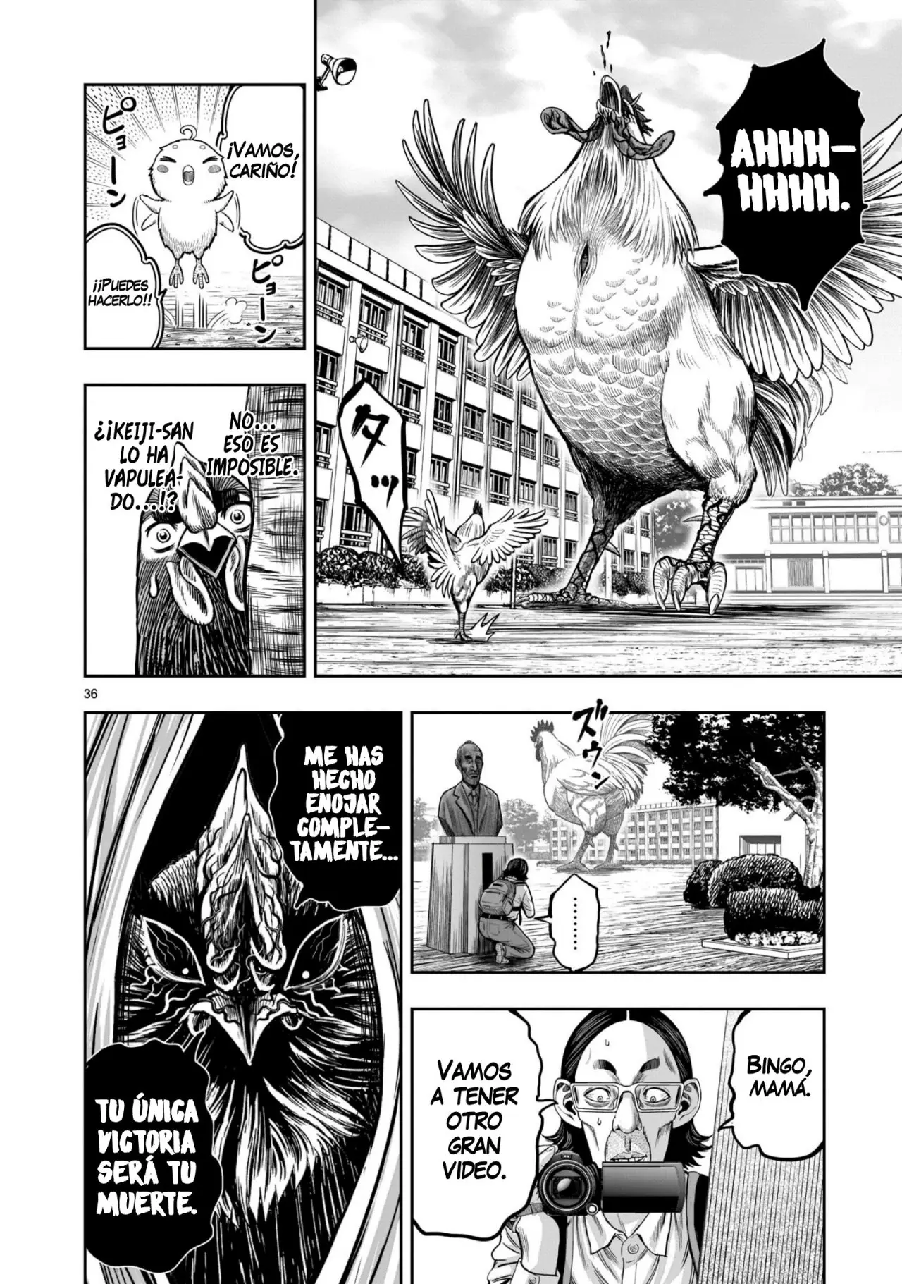 Rooster Fighter capítulo 11, página 37