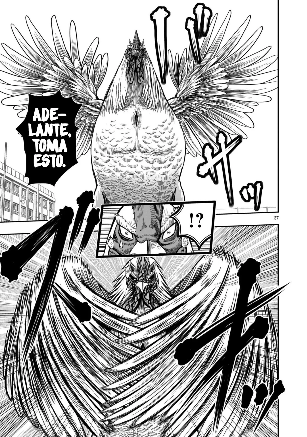 Rooster Fighter capítulo 11, página 38