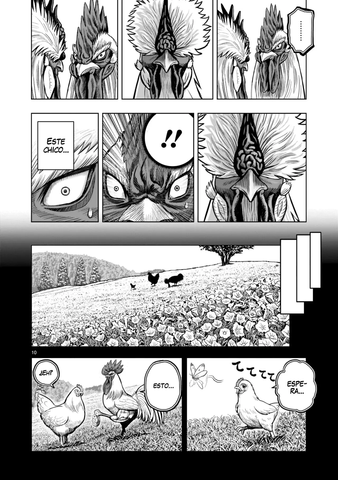 Rooster Fighter capítulo 19, página 11