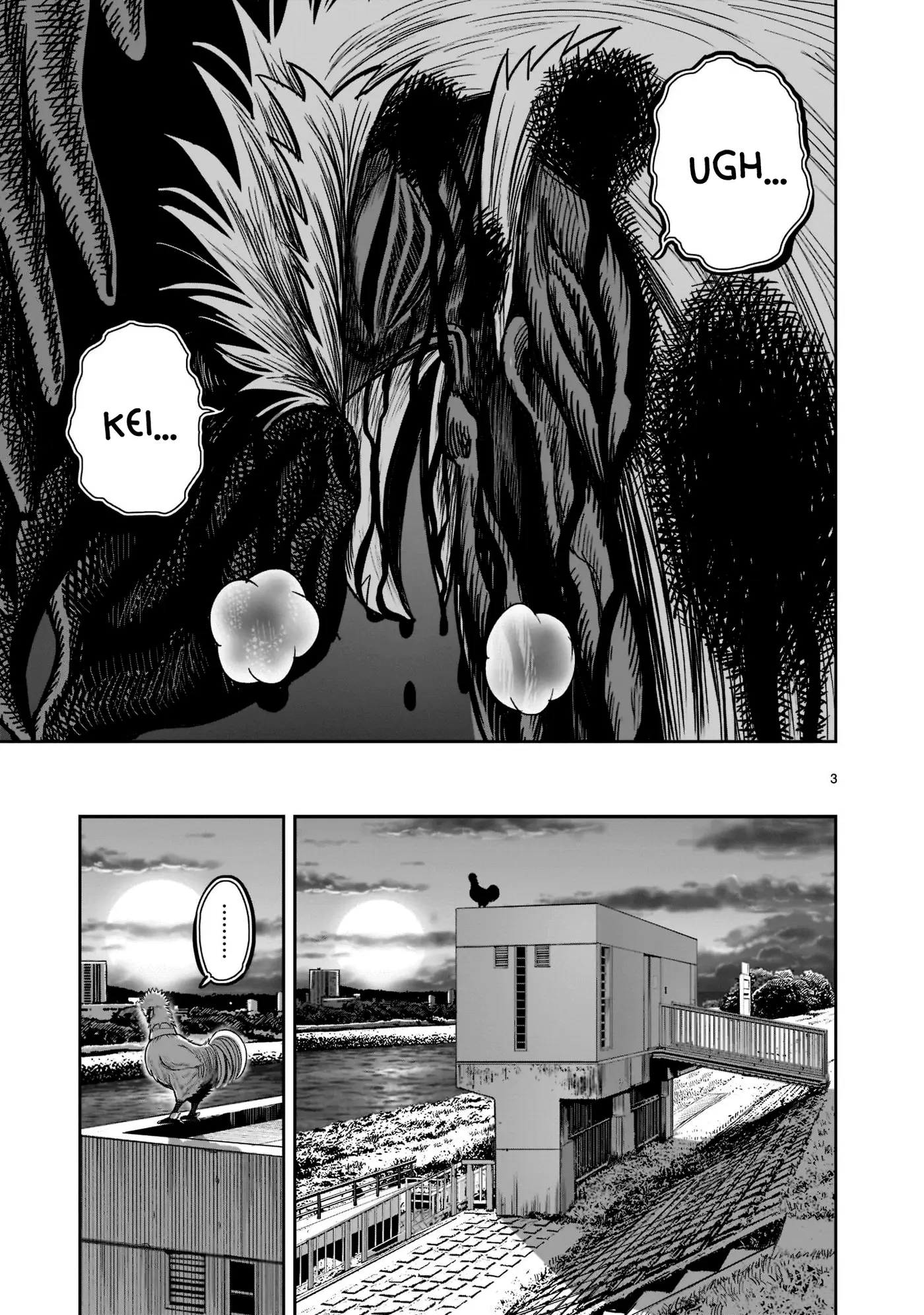 Rooster Fighter capítulo 20, página 5