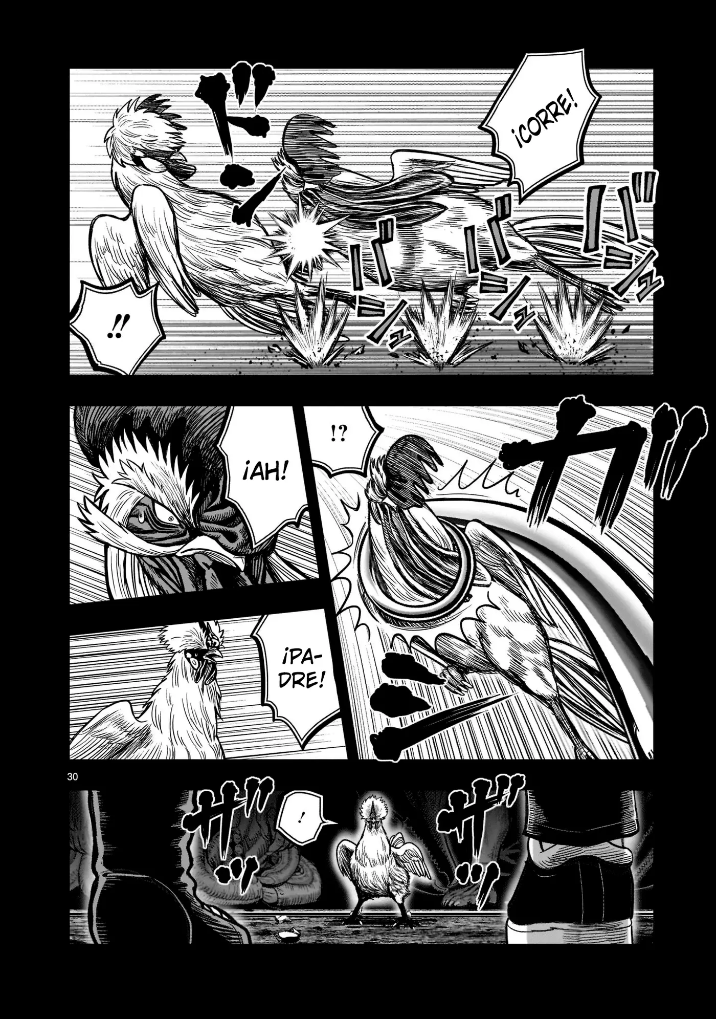 Rooster Fighter capítulo 20, página 31