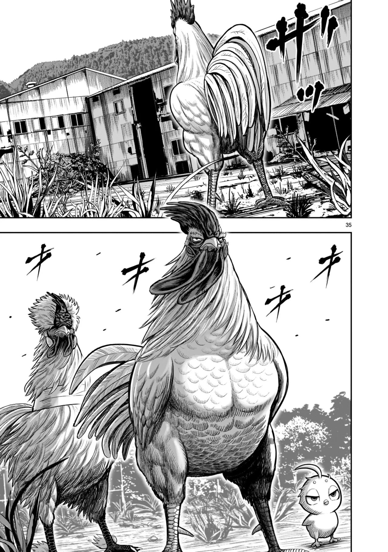 Rooster Fighter capítulo 21, página 36