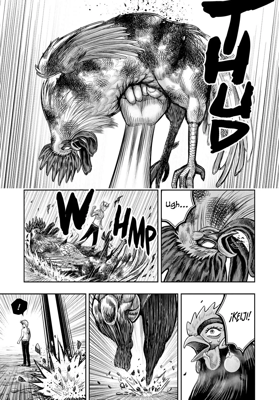 Rooster Fighter capítulo 27, página 25