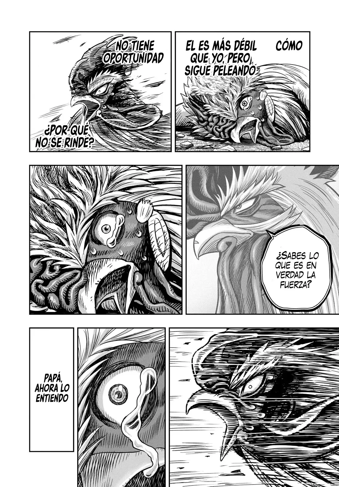 Rooster Fighter capítulo 27, página 44